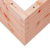 vidaXL Pflanzk&uuml;bel 70x70x45,5 cm Massivholz Douglasie