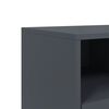vidaXL TV-Schrank Anthrazit 100,5x39x60,5 cm Stahl