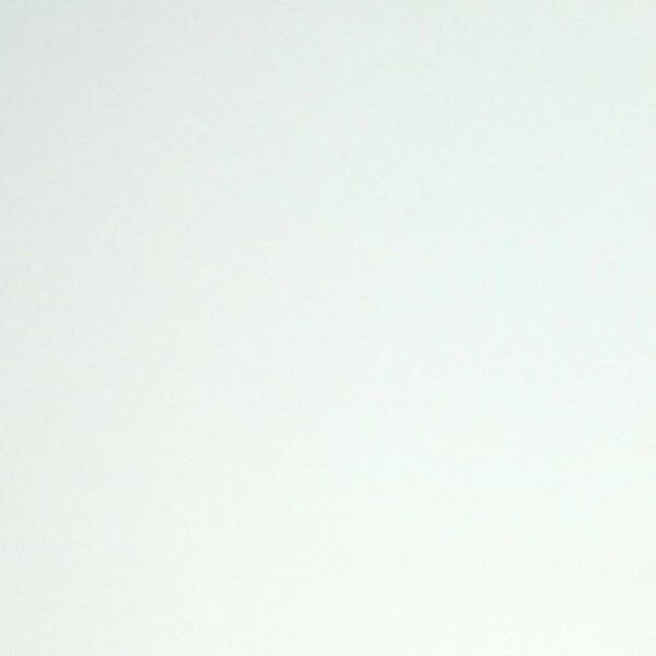 DUTCH WALLCOVERINGS Anstrichvlies Wei&szlig;