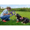 Ferplast Hunde-Spielring Puller Standard Lila 2 Stk.