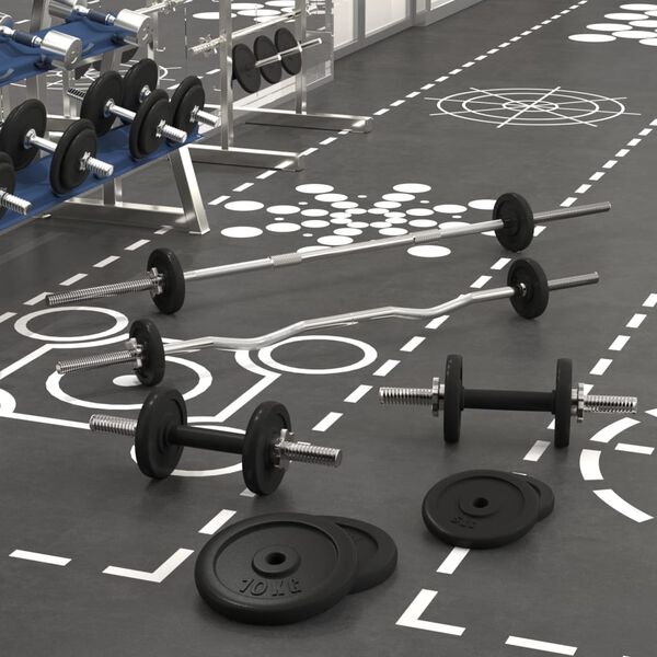 vidaXL Langhantel und Kurzhantel mit Hantelscheiben 60 kg Gusseisen