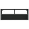 vidaXL TV-Schrank Schwarz 100x31x39,5 cm Holzwerkstoff und Metall