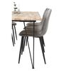 Venture Home Esszimmerst&uuml;hle 2 Stk. Polar Samt Grau und Schwarz