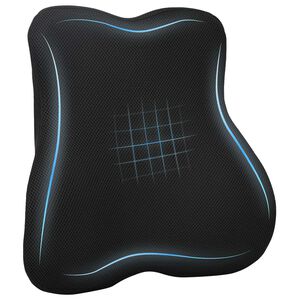 vidaXL R&uuml;ckenkissen Schwarz Viscoschaum 40 x 40 x 11 cm
