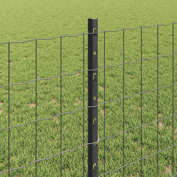 Produktbild 4 von 13 anzeigen