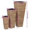 vidaXL Blumenkübel 3 Stk. Wasserhyazinthe Braun