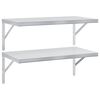 vidaXL Wandregale 2 Stk. 75x40 cm Silbern Edelstahl
