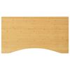 vidaXL Schreibtischplatte 100x60x2,5 cm Bambus