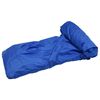 vidaXL Bootsplane Blau 605x209x40 cm