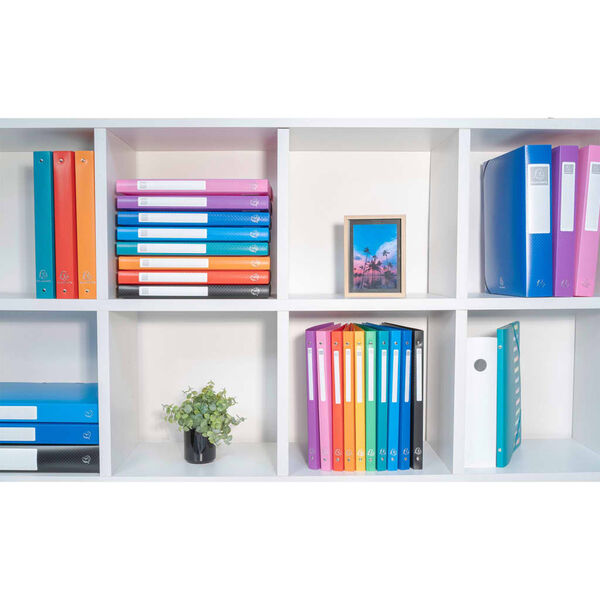 Exacompta Sammelbox mit Gummizug Exabox 8 Stk. A4 40 mm PP