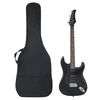 vidaXL E-Gitarre f&uuml;r Anf&auml;nger mit Tasche Schwarz 4/4 39"