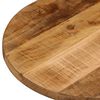 vidaXL Tischplatte 100x50x2,5 cm Oval Raues Massives Mangoholz