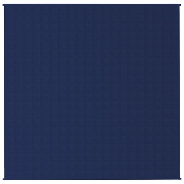 vidaXL Gewichtsdecke Blau 200x200 cm 9 kg Stoff