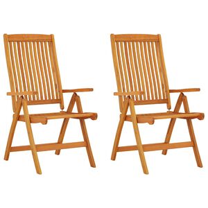 vidaXL Klappst&uuml;hle, 2 St&uuml;ck, Massivholz Eukalyptus