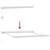 vidaXL Einziehbare Markise Gr&uuml;n und Wei&szlig; 300 x 250 cm Stoff und Metall