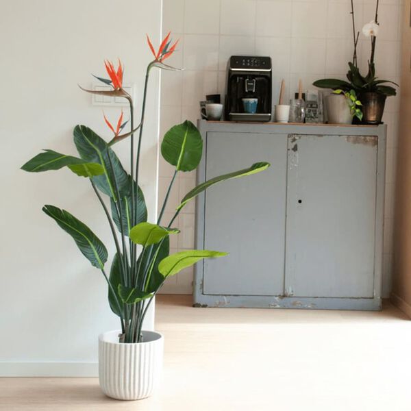 Emerald K&uuml;nstliche Pflanze Strelitzia im Topf mit Blumen 120 cm