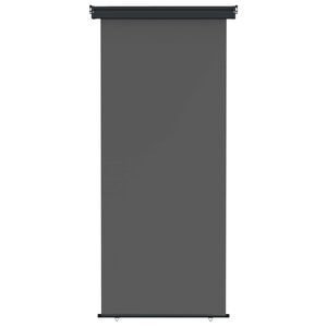 vidaXL Balkon Seitenmarkise 100 x 250 cm 100% Polyester Eisen Stahl