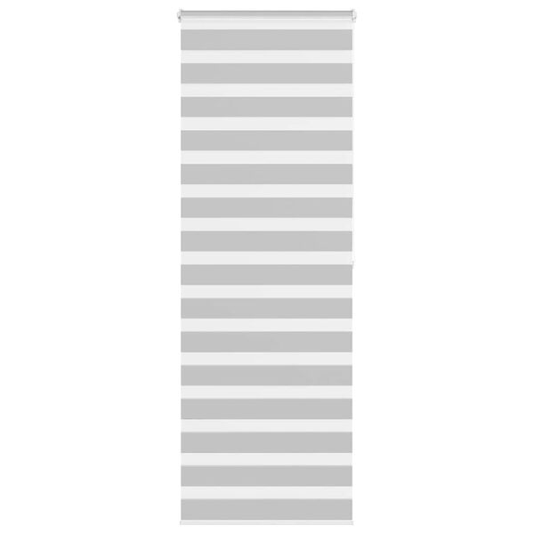 vidaXL Doppelrollo Hellgrau 70x200 cm Stoffbreite 65,9 cm Polyester