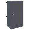 vidaXL Briefkasten mit Speicher Anthrazit 30 x 20 x 55 cm Stahl