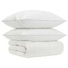 vidaXL G&auml;nsedaunen-Bettdecken-Set 90% FULDA 3 stk. 240 x 260 cm Winter