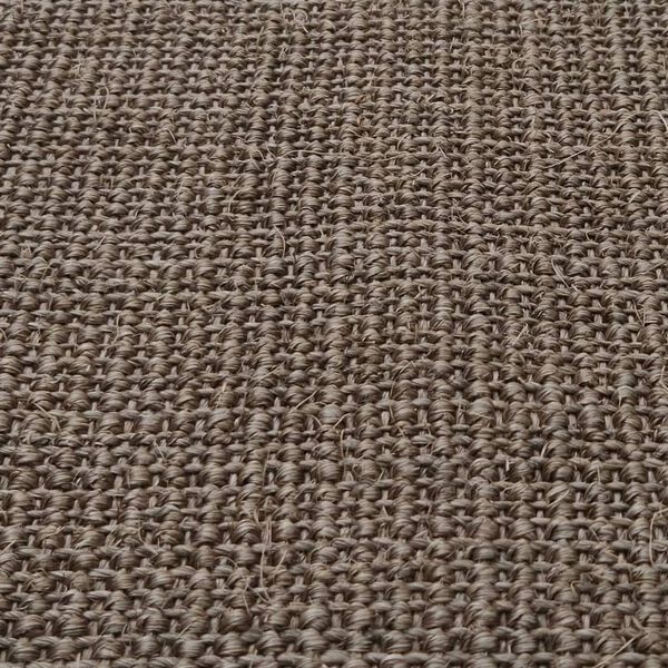 vidaXL Teppich Natur Sisal 66x300 cm Braun