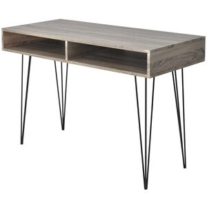 vidaXL Schreibtisch mit 2 F&auml;chern Grau