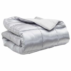 vidaXL Winterbettdecke Silber 220 x 200 cm Satin und Mikrofaser