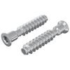 vidaXL Kopfschraube 2 Stk. Silber M7 x 40 mm Stahl