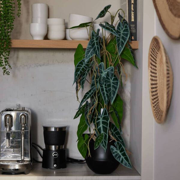 Emerald K&uuml;nstliche Alocasia 75 cm im Topf
