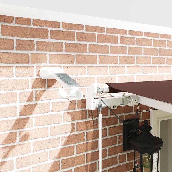 vidaXL Markise Automatisch mit LED Braun 600x300 cm