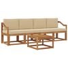 vidaXL Outdoor-Sofagarnitur 5 Stk. Natur und Beige