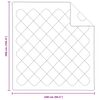 vidaXL Decke mit Kissen 3 pcs Weiß Mikrofaser und Daunenfedern