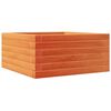 vidaXL Pflanzk&uuml;bel Wachsbraun 50x50x23 cm Massivholz Kiefer