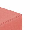 vidaXL Schlafsofa 2-Sitzer mit 2 Kissen Rosa Samt