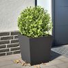 Produkt-Miniaturbild 2 von 10