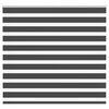 vidaXL Doppelrollo Schwarz 165x100 cm Stoffbreite 160,9 cm Polyester
