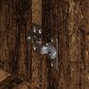 Produkt-Miniaturbild 5 von 6