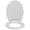 vidaXL Toilettensitz mit Absenkautomatik Quick-Release Hellgrau Oval