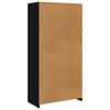 vidaXL Kleiderschrank Schwarz 100x50x200 cm Holzwerkstoff