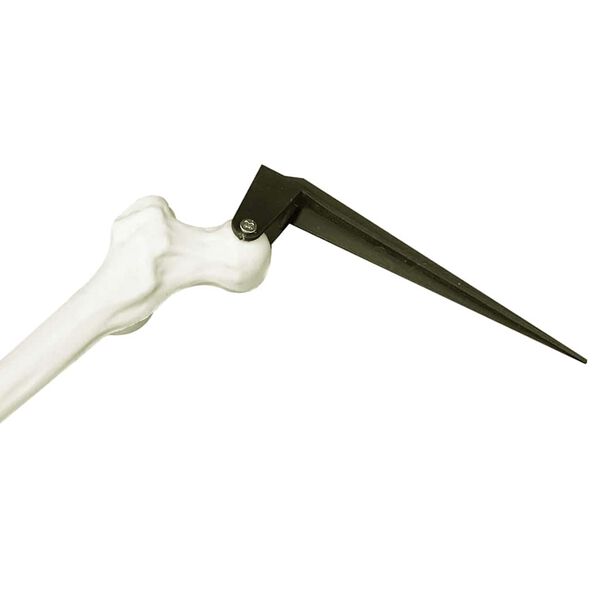 vidaXL Halloween Skelett mit Boden spikes Wei&szlig; 45,5 x 13 cm