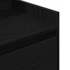 vidaXL Nachttische mit 2 Schubladen 2 Stk. Schwarz 38x34x80 cm
