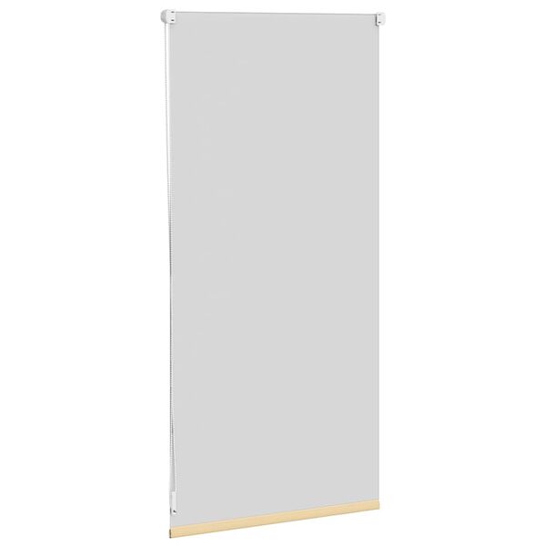 Verdunklungsrollo Verdunkelungsrollo 40 x 100 Beige