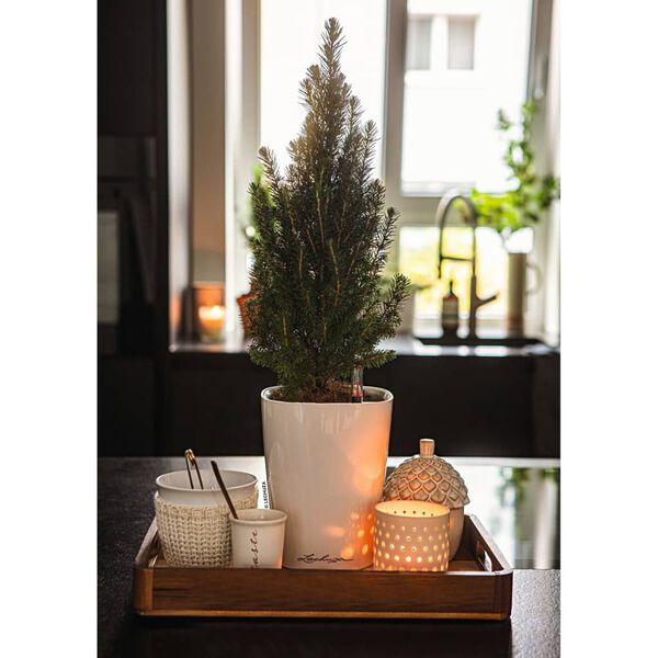 LECHUZA Pflanzgef&auml;&szlig; DELTINI ALL-IN-ONE Hochglanz-Wei&szlig;