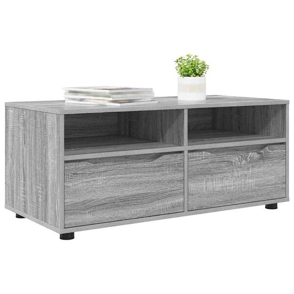 vidaXL TV-Schr&auml;nk Graues Sonoma 100 x 48 x 43 cm Holzwerkstoff