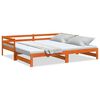 vidaXL Tagesbett Ausziehbar ohne Matratzen 90x190 cm Massivholz