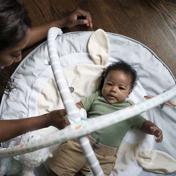 Ingenuity Aktivit&auml;tsspielzeug Sheppy's Spot Corrie