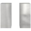 vidaXL Pflanzenst&auml;nder 2 pcs Silber 24 x 24 x 55 cm Edelstahl