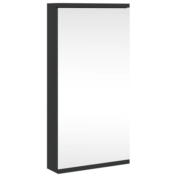 vidaXL Eck-Spiegelschrank Schwarz 30x24x60 cm