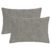 Light_Grey