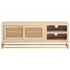 vidaXL TV-Schrank 110x30x40 cm Massivholz Mango und Eisen